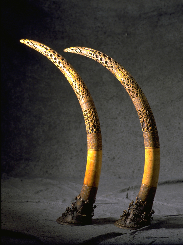 Magnificent Horns