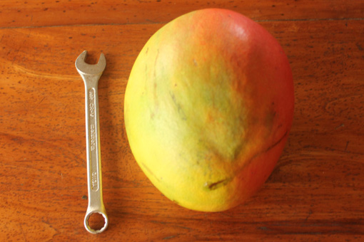 Die Mango und der Dreizehner