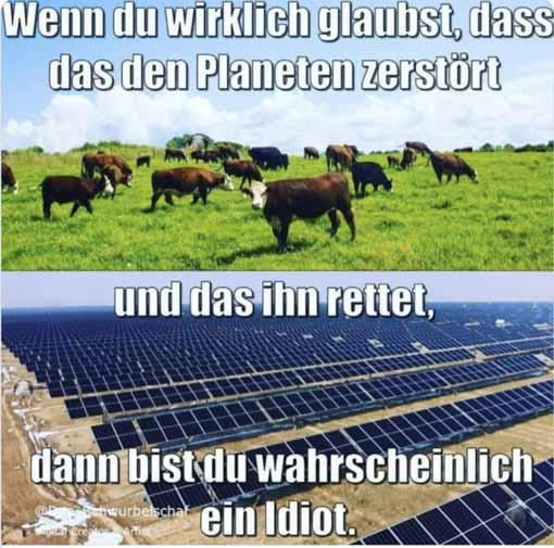 Kühe versus Solar