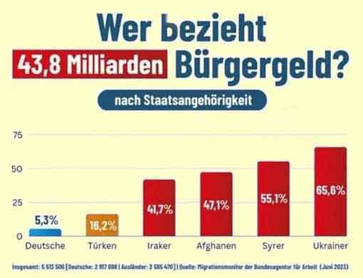 Bürgergeld