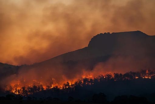 Feuer der Grünen